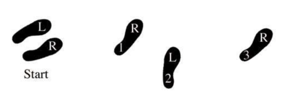 X-step footwork diagram